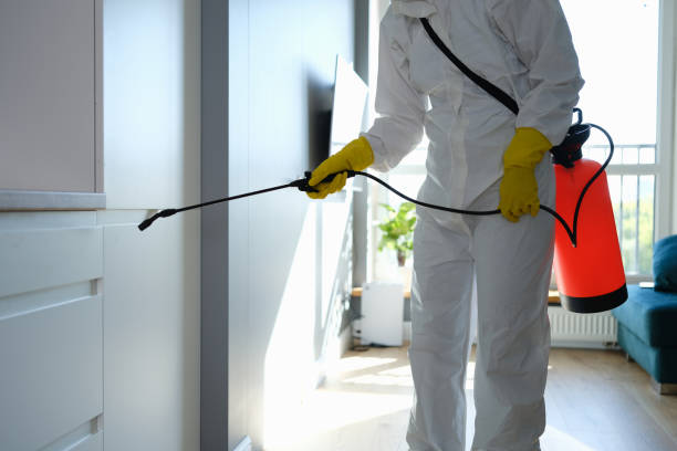 Best Mold Remediation for Schools in Castle Pines Village, CO